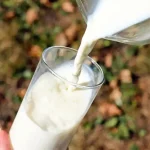 Uvoz prehrambenih proizvoda u Bosnu i Hercegovinu