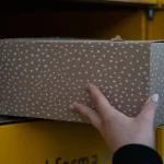 carina poštanski promet RH